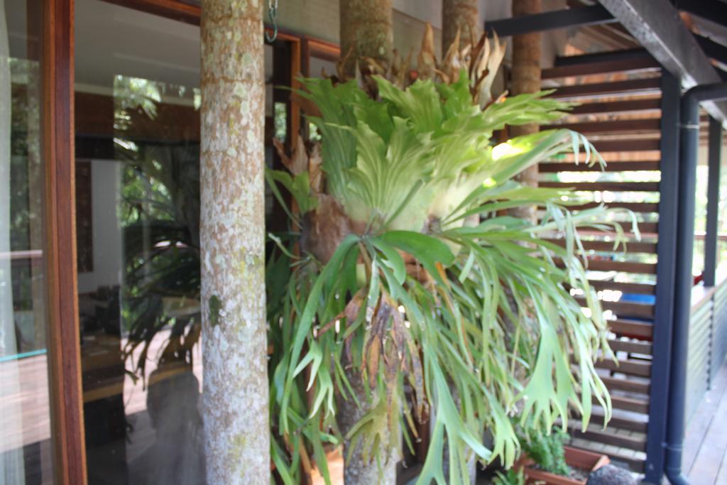 Pk Illusions Apartment Maleny Luaran gambar